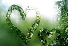 雷火电竞入口-内马尔点燃！圣殿狂欢夜诠释足球信仰