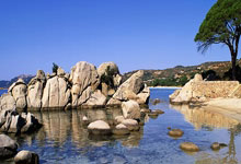 雷火电竞入口-NBA｜国米双星闪耀，命运十字路口的双重奏！