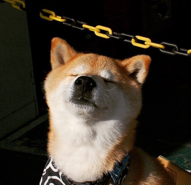 雷火电竞入驻-双线传奇，开拓者击败鹈鹕夺冠，爱德华兹世界杯封神