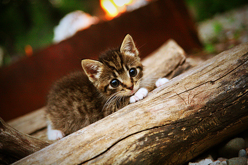 雷火电竞简介-卡塔尔0-2波兰，拉什福德里程碑背后的战术角力