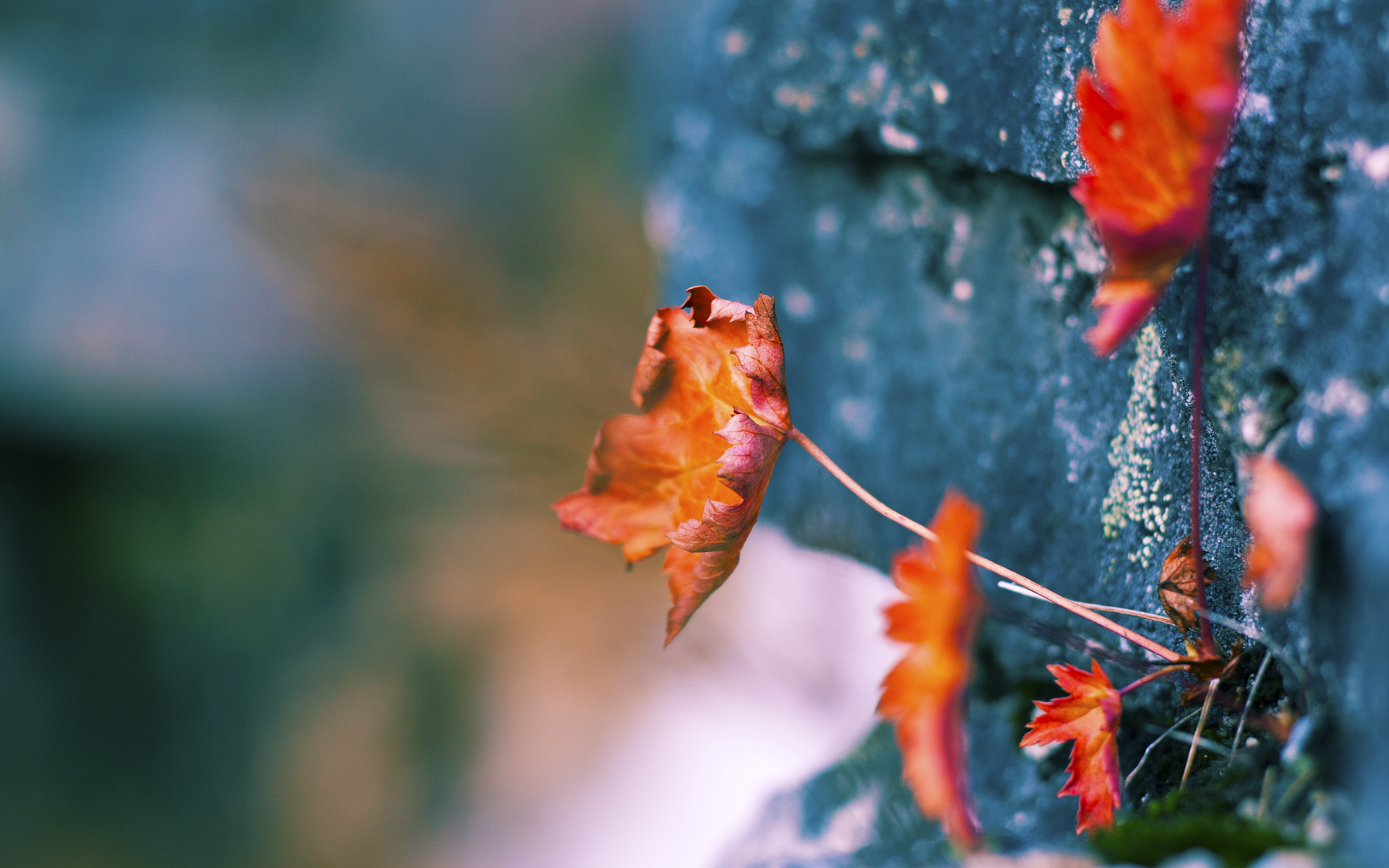 雷火电竞主播-绿茵上的阿尔卑斯德比，当意甲淬炼的锋芒，于国家队生死局绽放
