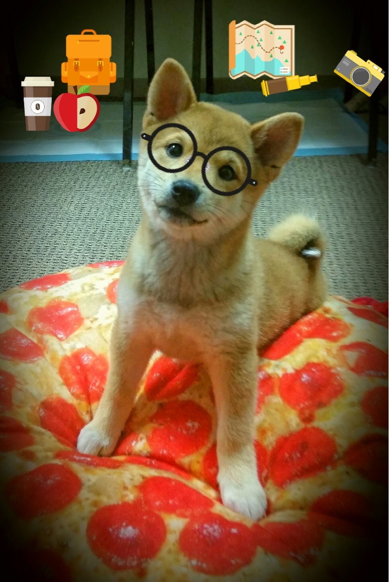 锋刃出鞘，欧冠半决赛之夜，巴斯托尼的两次闪击如何定义赛季